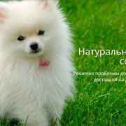 Интернет-магазин Зоодружок фото 1 на сайте Fili24.ru