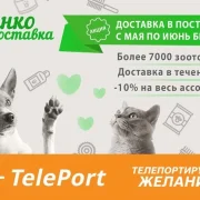 Автоматизированный пункт выдачи TelePort фото 3 на сайте Fili24.ru