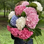 Магазин цветов Bloom jungle фото 4 на сайте Fili24.ru
